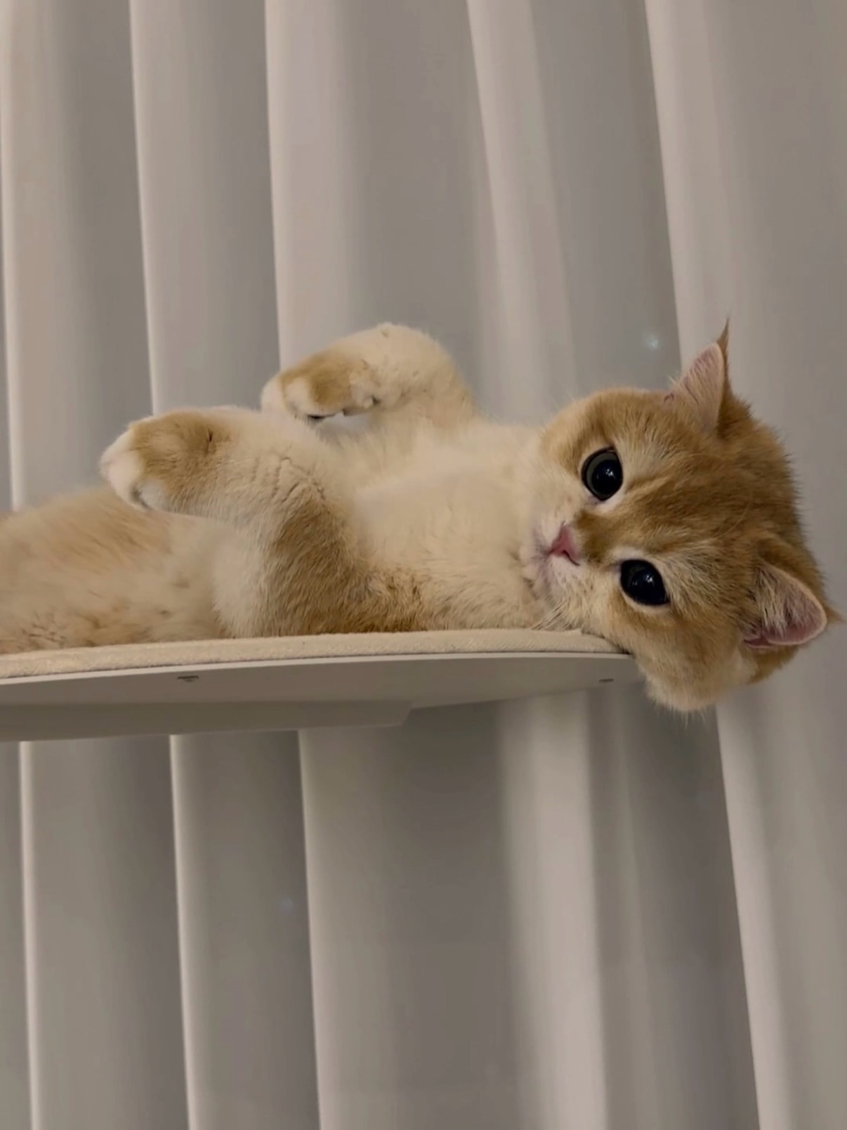 가은